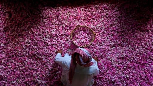 Taif Rose Farms